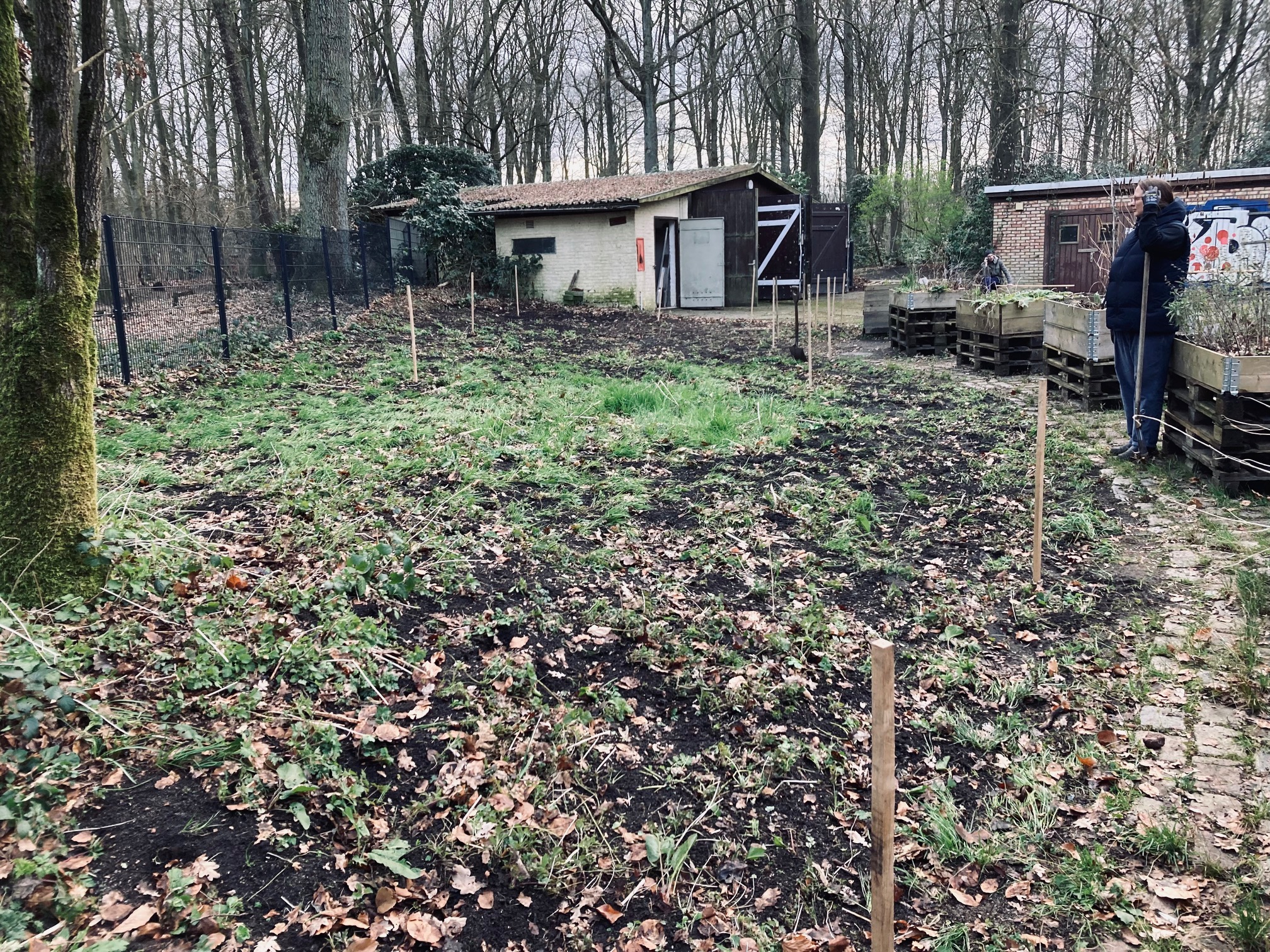 Urbaner Waldgarten im Heilgarten