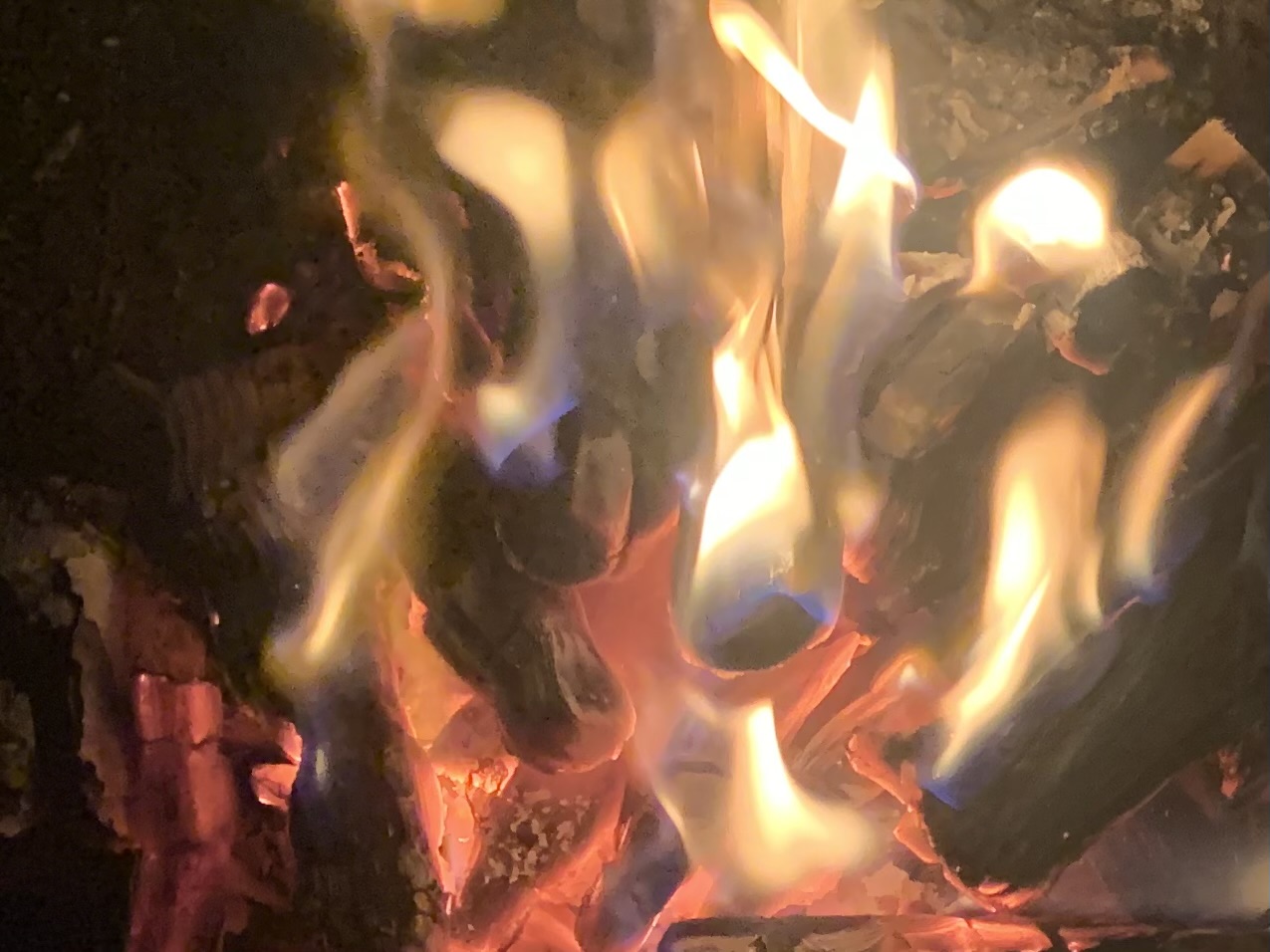 Feuerabend im Heilgarten Hamburg