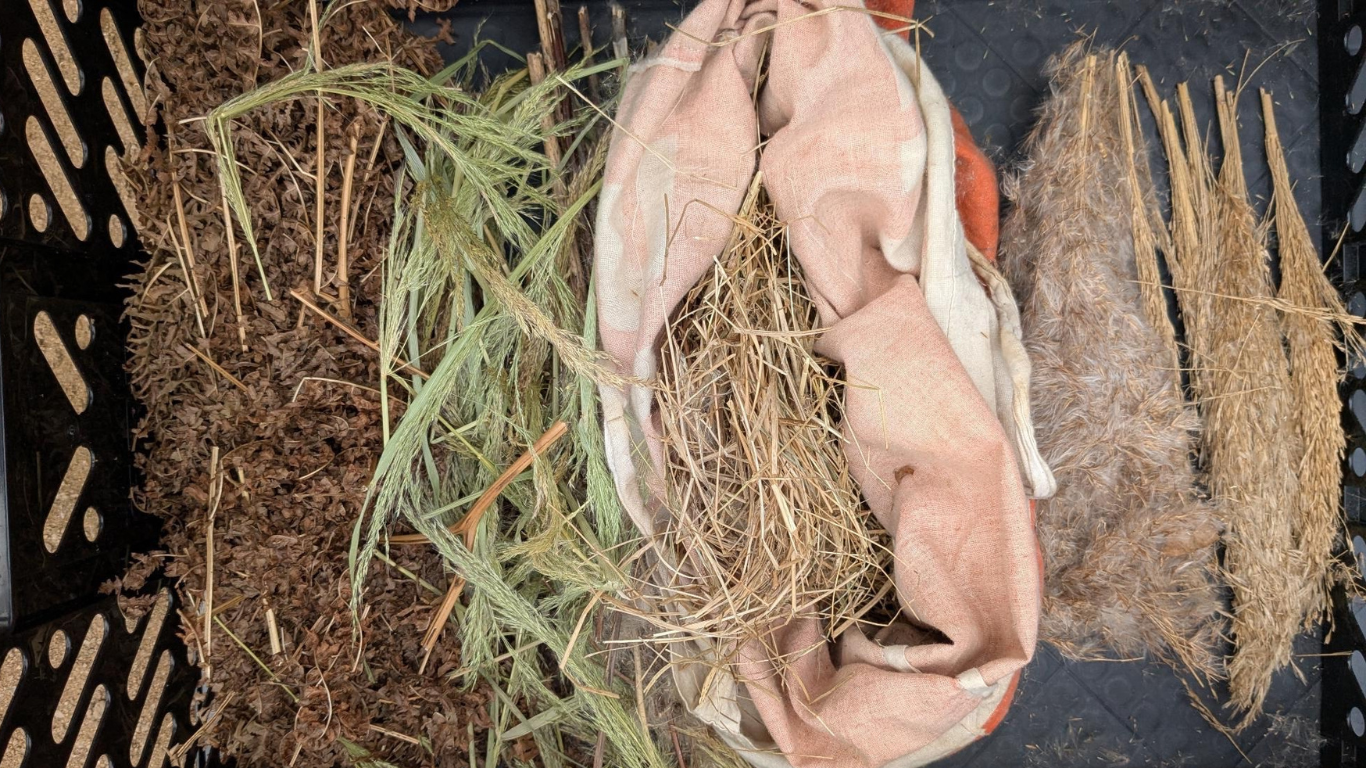 Zunder aus trockenem Gras, Stoff und Pflanzenfasern zum Feuermachen